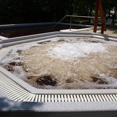 Arnyas Thermal Es Ueduelopark Feriepark Püspökladány